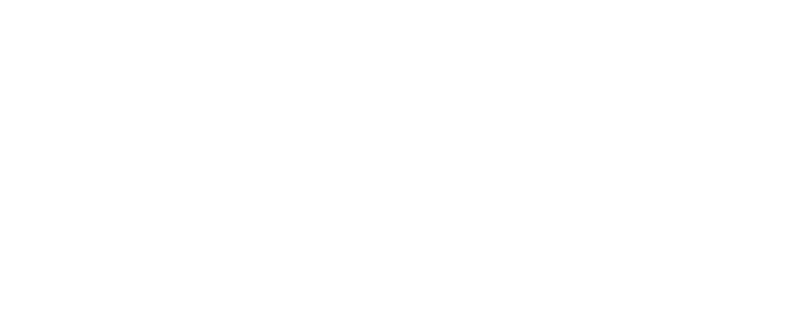 IEEE France Logo